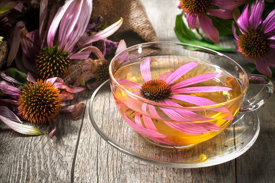 Ekinezya Çayı, echinacea tea