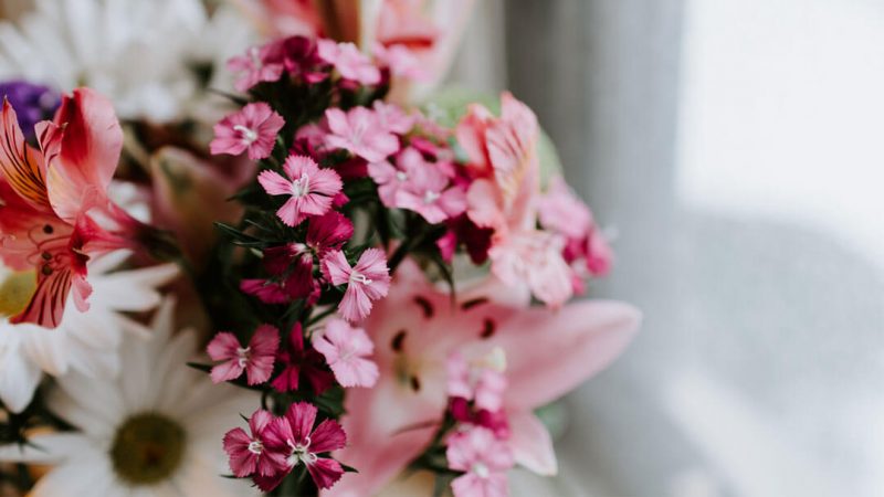 Çiçek Aranjmanı İçin Çiçek Seçimi