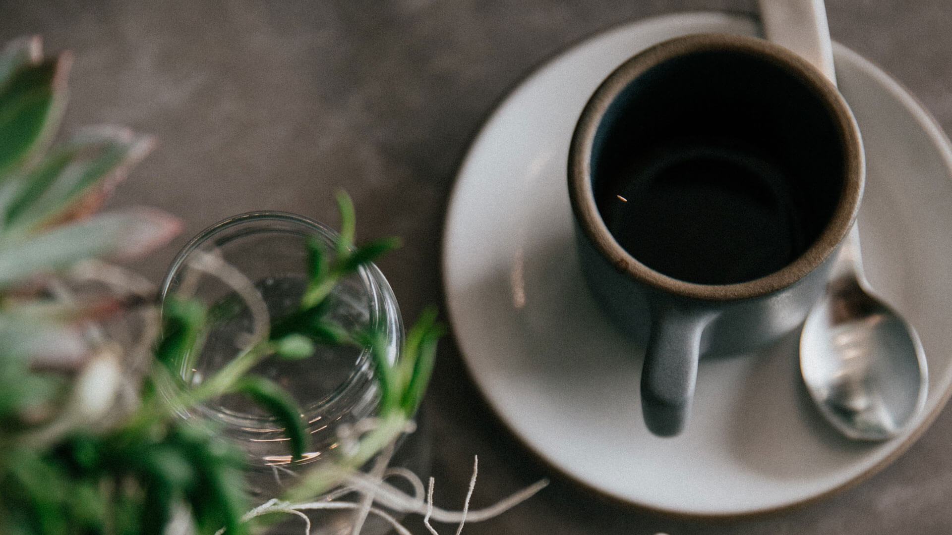 kopi-luwak-kahvesi-hakkinda-sorular