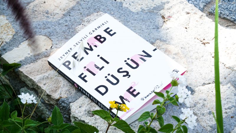 pembe-fili-dusunme-kitap