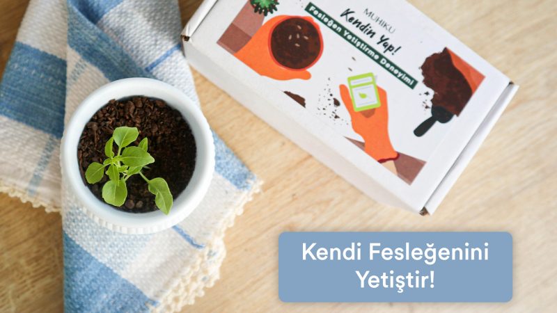 kendi-feslegenini-yetistir