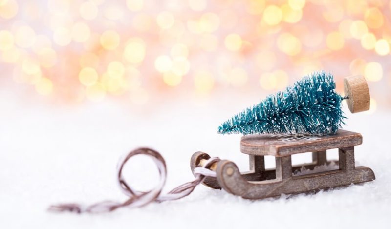 hediye-yilbasi-agaci