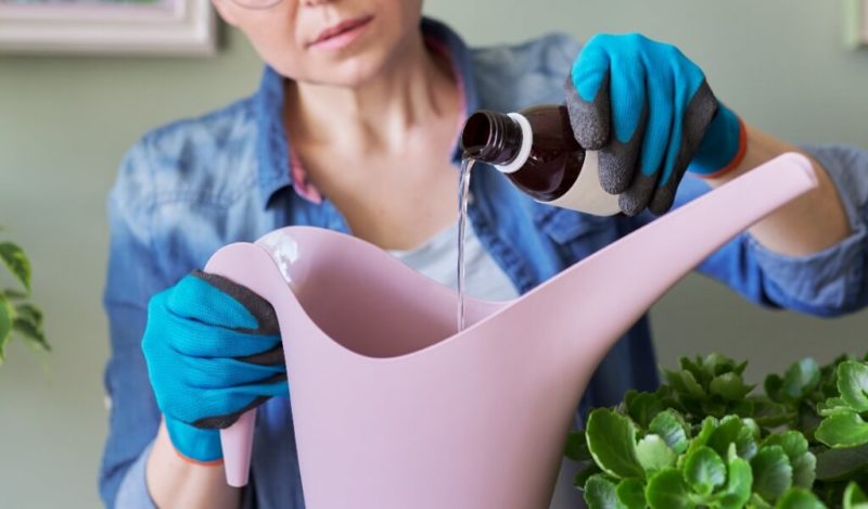 buket-cicek-nasil-canli-tutulur