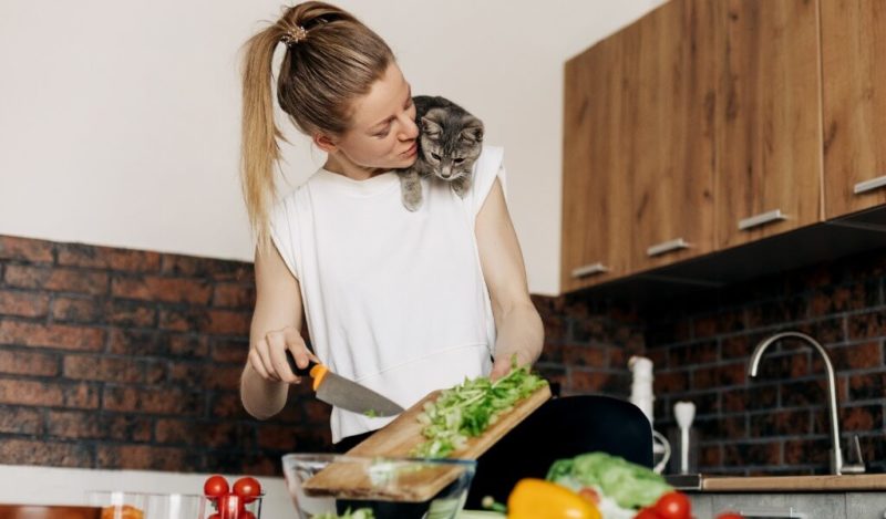 kedilere-ispanak-verilir-mi