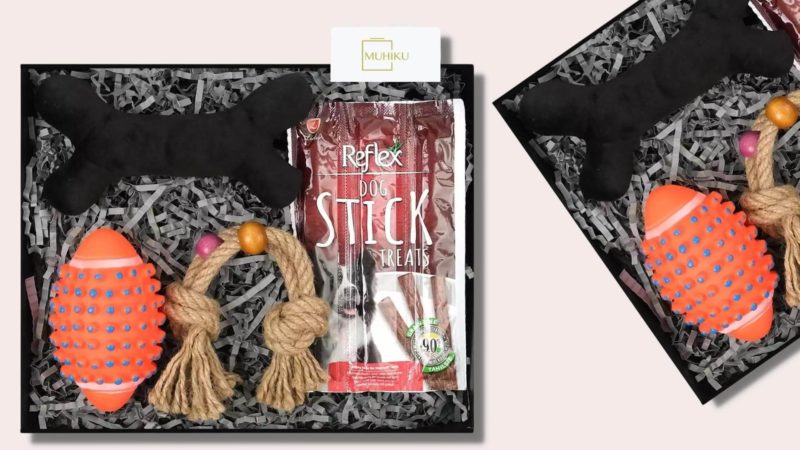 kopege-oyuncak-hediye-kutusu