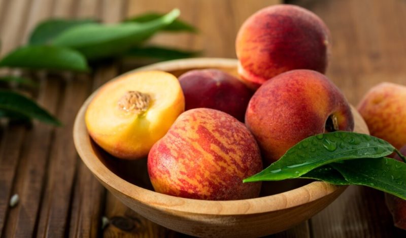 seftali-kedilere-zarar-verir-mi