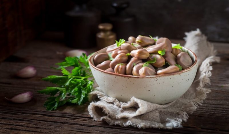 kuru-fasulye-kedilere-zararli-mi