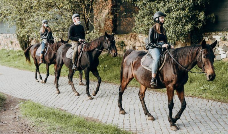 ormanda-at-gezisi-muhiku-jpg