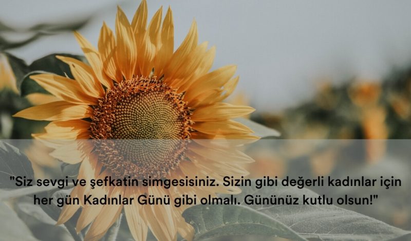 anlamli-farkli-kadinlar-gunu-sozleri-muhiku-blog