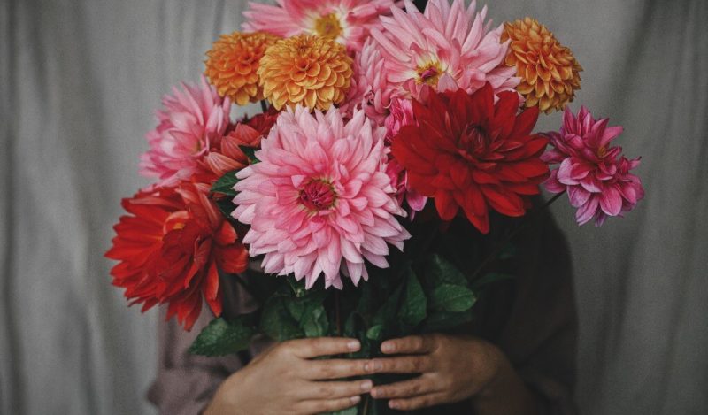 cicek-denildiginde-akla-hangi-ozellikleri-gelir