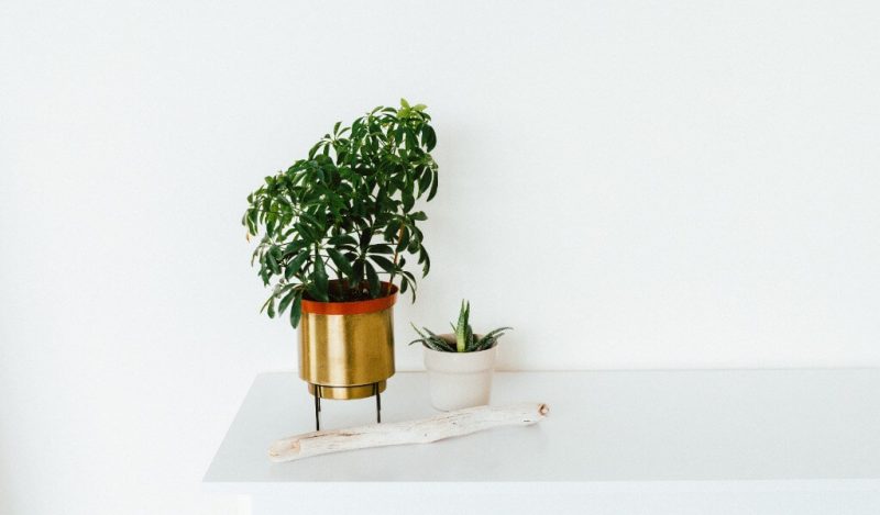 metal-saksi-ozellikleri