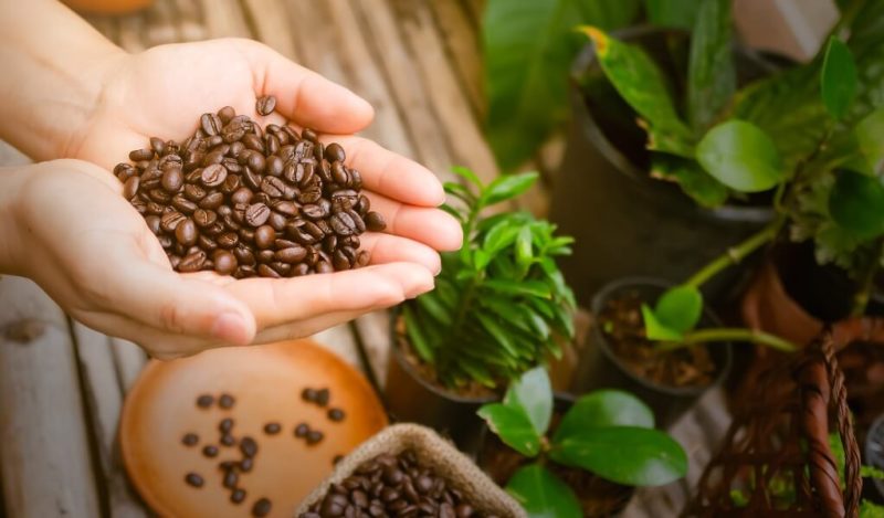 yoresel-kolombiya-kahveleri