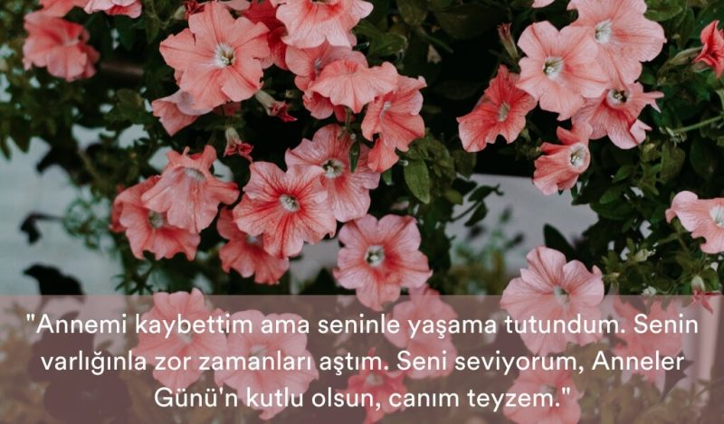 cocugu-olmayan-teyzeye-anneler-gunu-mesaji-muhiku-blog