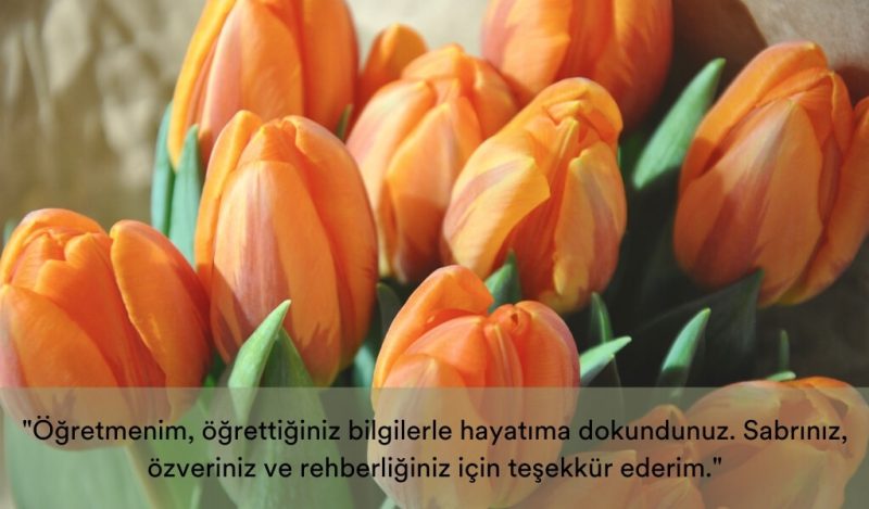 ogretmene-tesekkur-mesajlari-muhiku-blog