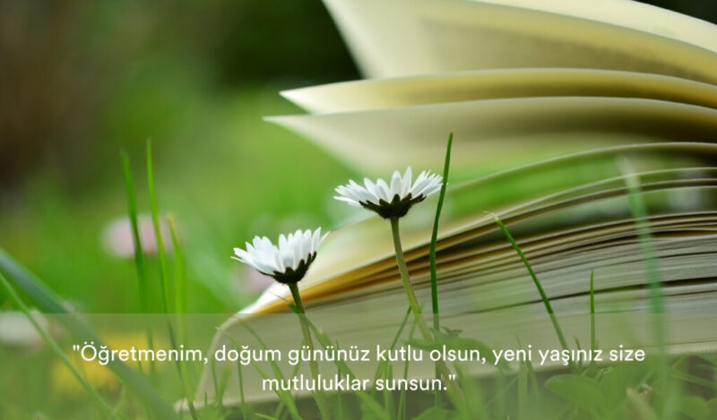 ogretmenime-dogum-gunu-mesaji-muhiku-blog