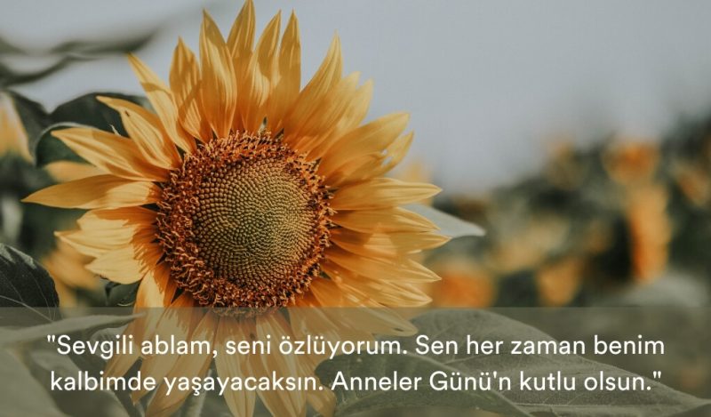 olen-ablaya-anneler-gunu-mesaji-muhiku-blog