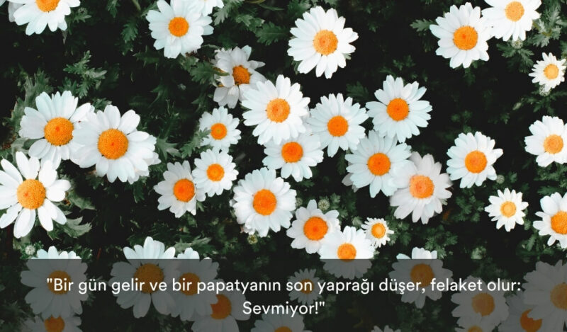 papatya-kokulu-sozler