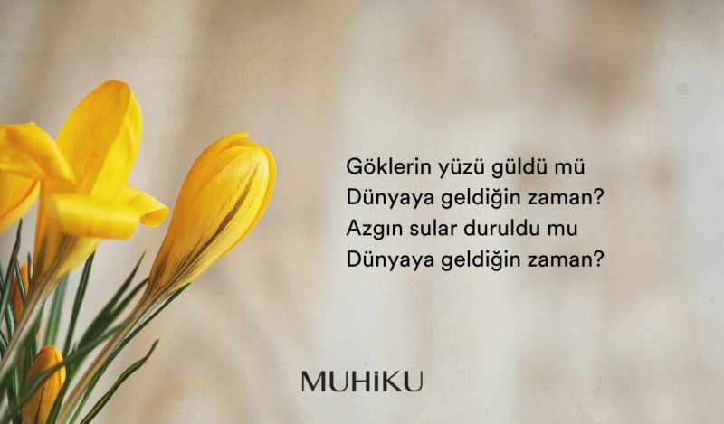 sabahattin-ali-dogum-gunu-siiri