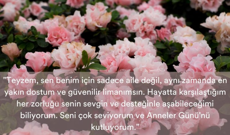 teyzeye-uzun-anneler-gunu-mesaji-muhiku-blog