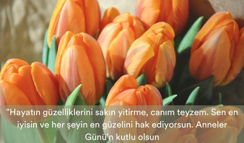 yegenden-teyzeye-anneler-gunu-mesaji-muhiku-blog