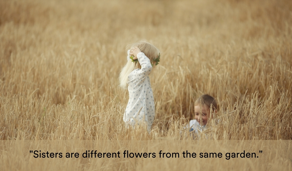 Abla Kardeş Sözleri Ablalık ve Kardeşlik Üzerine Söylenmiş En Güzel