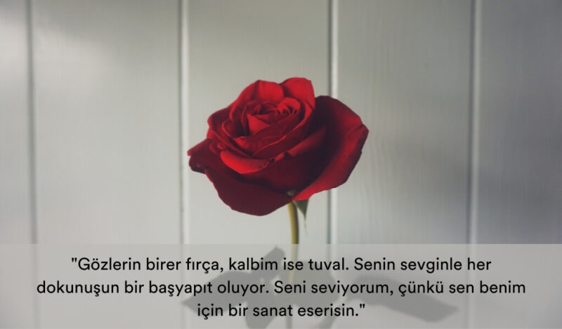 yaratici-seni-seviyorum-sozleri-muhiku-blog