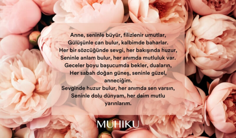 annecim-siir-muhiku-blog