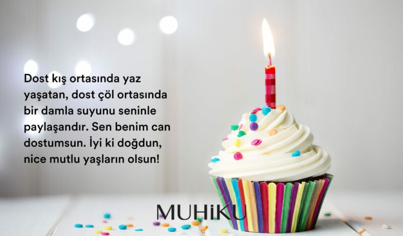 arkadasa-anlamli-dogum-gunu-mesajlari-1-muhiku-blog