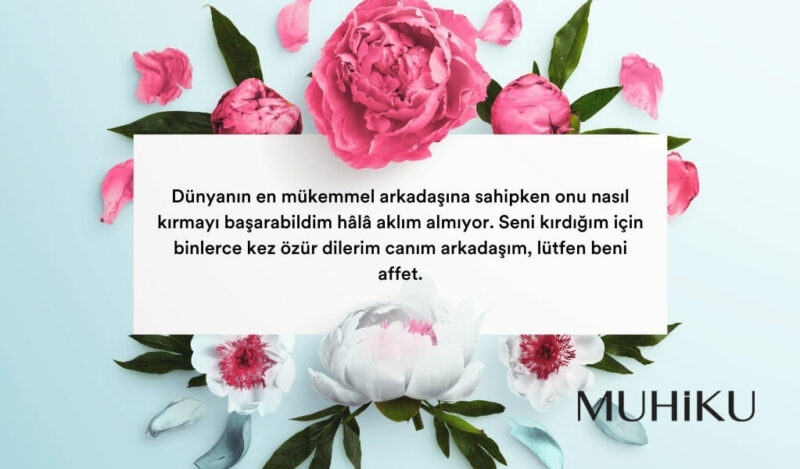 arkadasa-ozur-mesaji-uzun-duygusal-muhiku-blog