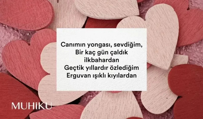 ataol-behramoglu-sevgi-sozleri-muhiku-blog