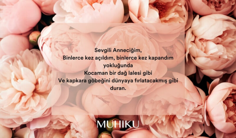 didem-madak-anne-siiri-muhiku-blog