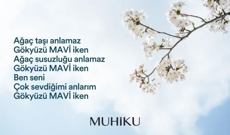 fazil-husnu-daglarca-gokyuzu-sozleri