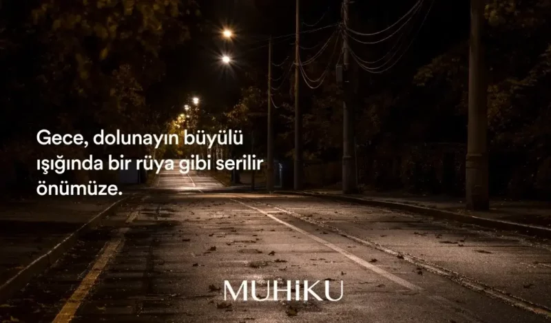 gece-ve-dolunay-ile-ilgili-sozler-1-muhiku-blog