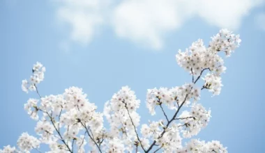 gokyuzu-ile-ilgili-sozler