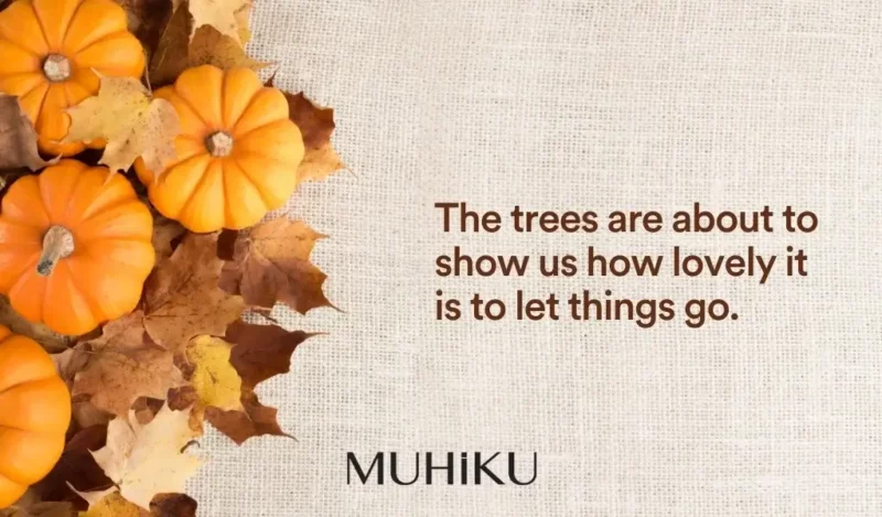 ingilizce-sonbahar-sozleri-muhiku-blog