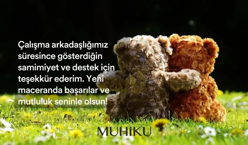 ise-veda-eden-arkadasa-guzel-muhiku-blog