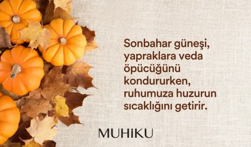 sonbahar-gunesi-ile-ilgili-guzel-sozler-muhiku-blog