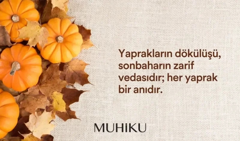 sonbahar-yapraklari-ile-ilgili-guzel-sozler-muhiku-blog