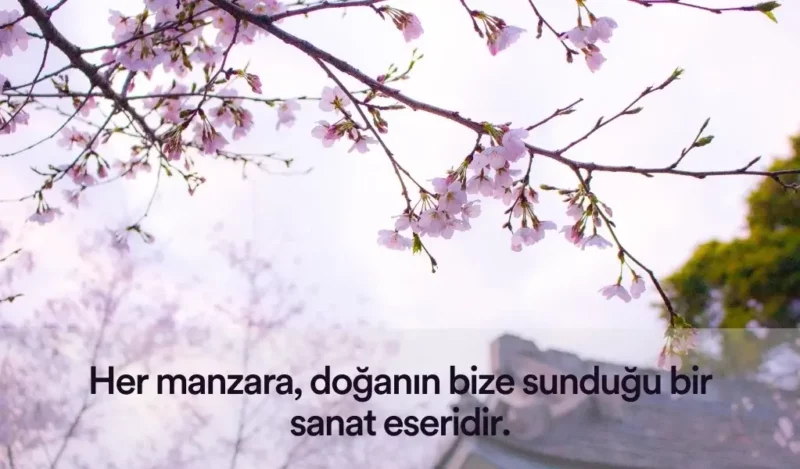 anlamli-manzara-sozleri