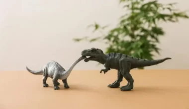 falda-dinazor-gormek