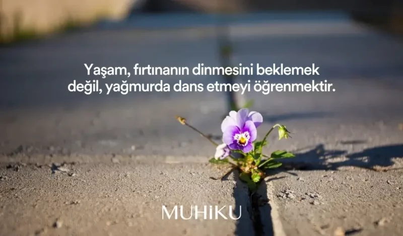 hayattaki-zorluklarla-ilgili-sozler