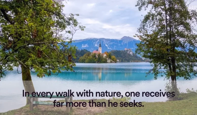 ingilizce-manzara-sozleri