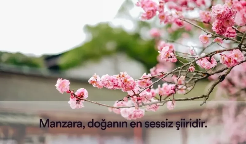 manzara-sozleri-kisa