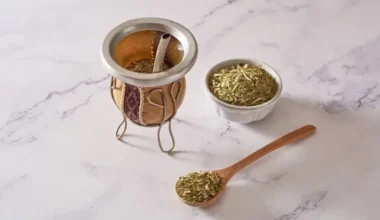 yerba-mate-cayi-hakkinda-her-sey