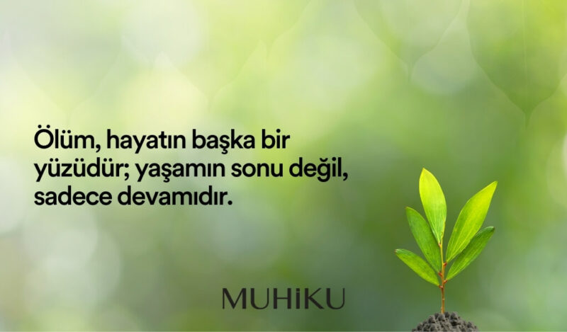 anlamli-olumlu-dunya-sozleri