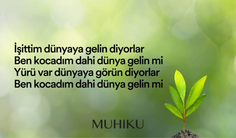 asik-veysel-dunya-sozleri