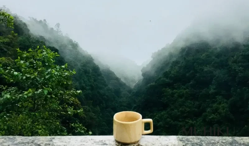 cay-sever-kuzene-hediye-kutusu