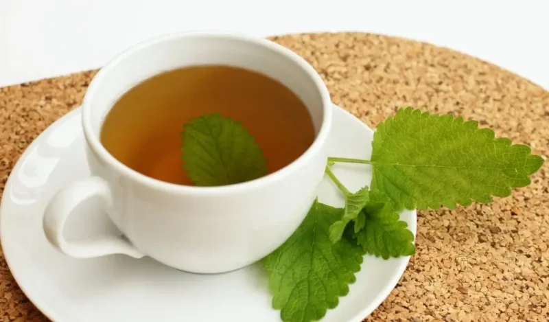 melisa-cayini-kimler-icebilir