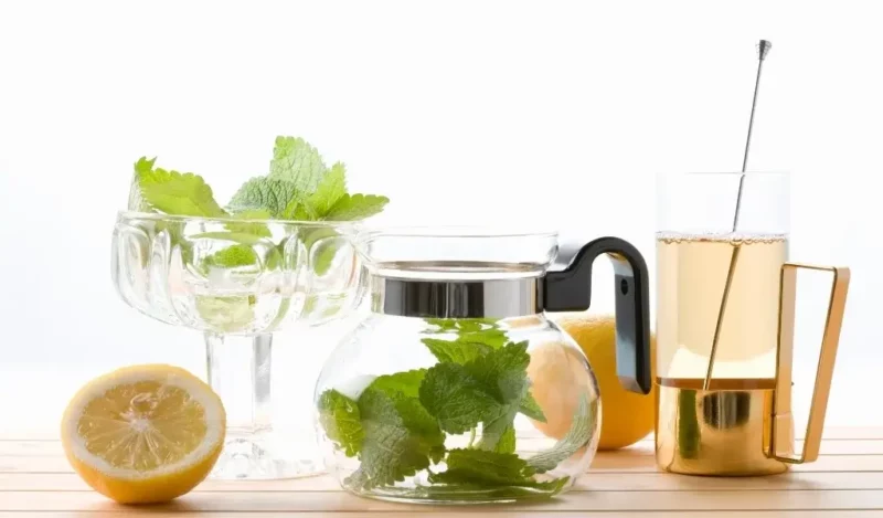 melisa-cayini-kimler-icmemeli