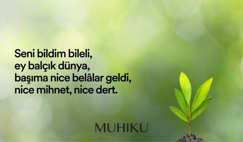 mevlana-dunya-sozleri